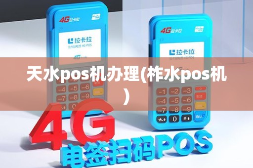 天水pos机办理(柞水pos机)