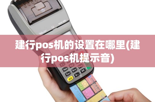建行pos机的设置在哪里(建行pos机提示音)