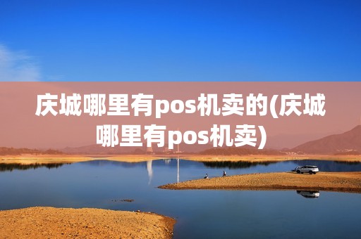 庆城哪里有pos机卖的(庆城哪里有pos机卖)