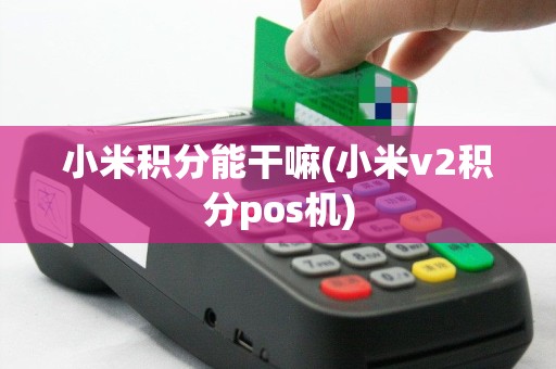 小米积分能干嘛(小米v2积分pos机)