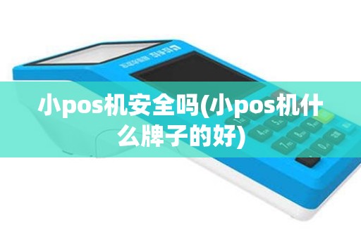 小pos机安全吗(小pos机什么牌子的好)
