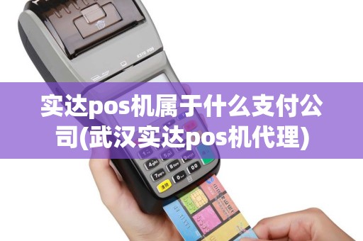 实达pos机属于什么支付公司(武汉实达pos机代理)