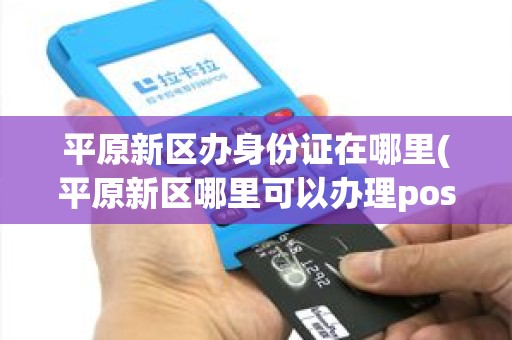 平原新区办身份证在哪里(平原新区哪里可以办理pos机)