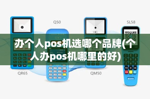 办个人pos机选哪个品牌(个人办pos机哪里的好)