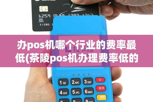 办pos机哪个行业的费率最低(茶陵pos机办理费率低的)