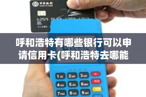 呼和浩特有哪些银行可以申请信用卡(呼和浩特去哪能办pos机)