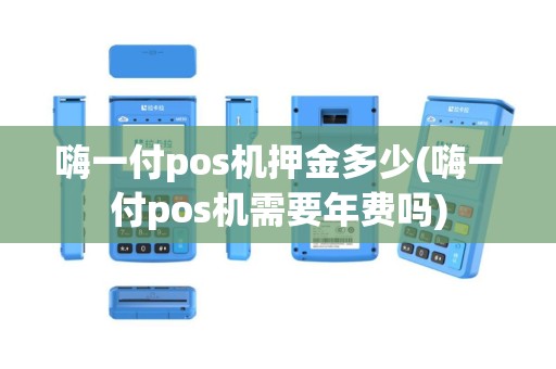 嗨一付pos机押金多少(嗨一付pos机需要年费吗)
