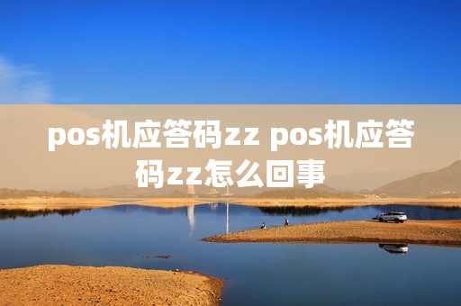 pos机应答码zz pos机应答码zz怎么回事