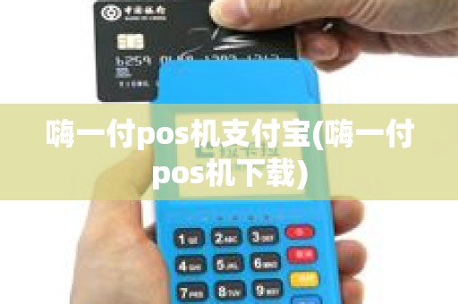 嗨一付pos机支付宝(嗨一付pos机下载)