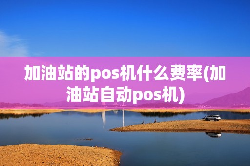 加油站的pos机什么费率(加油站自动pos机)