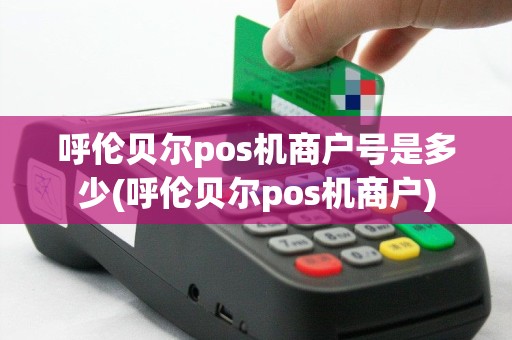 呼伦贝尔pos机商户号是多少(呼伦贝尔pos机商户)