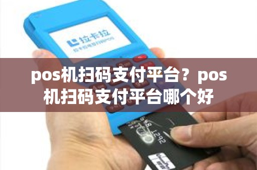 pos机扫码支付平台？pos机扫码支付平台哪个好