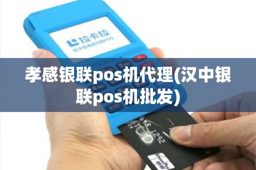 孝感银联pos机代理(汉中银联pos机批发)