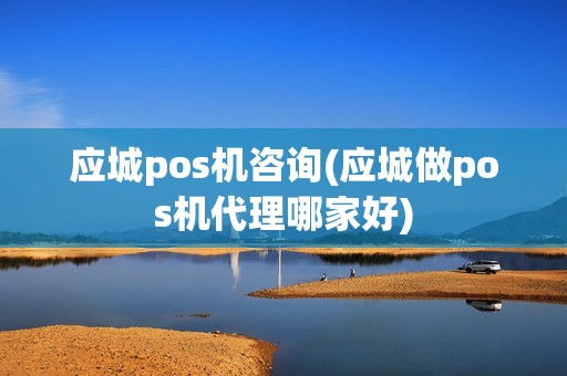 应城pos机咨询(应城做pos机代理哪家好)