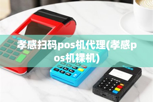 孝感扫码pos机代理(孝感pos机裸机)