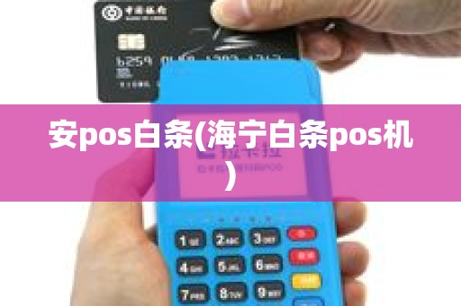 安pos白条(海宁白条pos机)