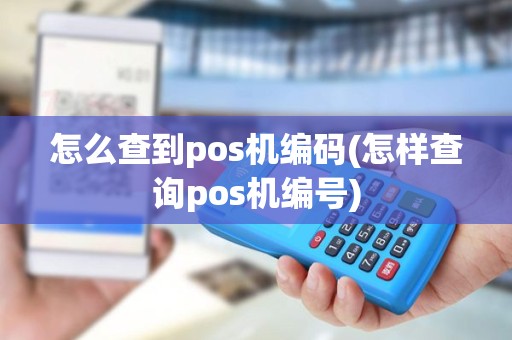怎么查到pos机编码(怎样查询pos机编号)