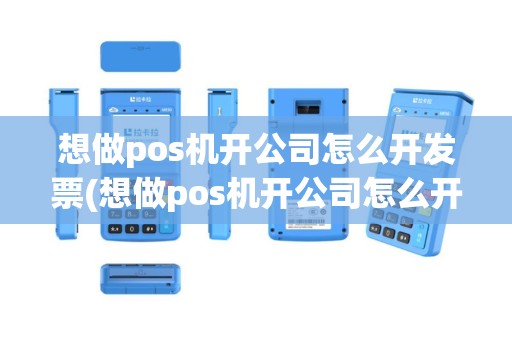 想做pos机开公司怎么开发票(想做pos机开公司怎么开)