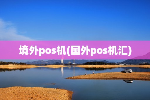 境外pos机(国外pos机汇)
