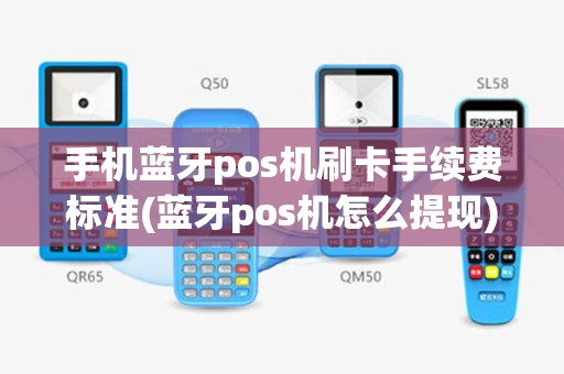 手机蓝牙pos机刷卡手续费标准(蓝牙pos机怎么提现)