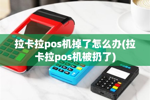 拉卡拉pos机掉了怎么办(拉卡拉pos机被扔了)