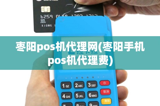 枣阳pos机代理网(枣阳手机pos机代理费)