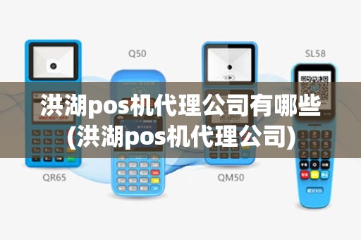 洪湖pos机代理公司有哪些(洪湖pos机代理公司)