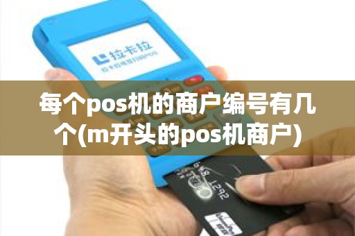 每个pos机的商户编号有几个(m开头的pos机商户)