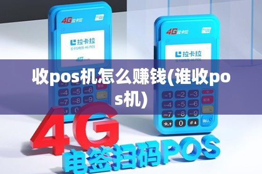 收pos机怎么赚钱(谁收pos机)