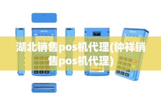 湖北销售pos机代理(钟祥销售pos机代理)