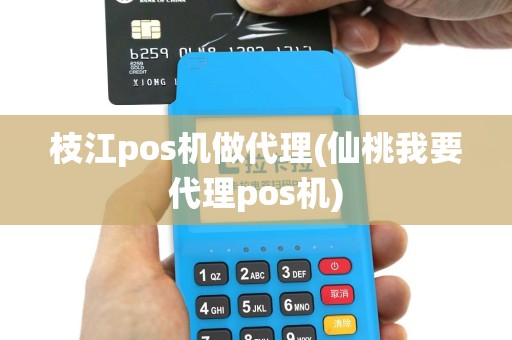 枝江pos机做代理(仙桃我要代理pos机)