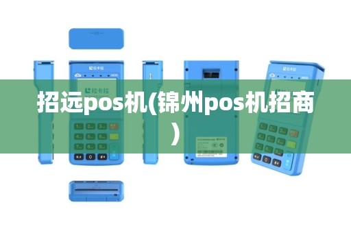招远pos机(锦州pos机招商)