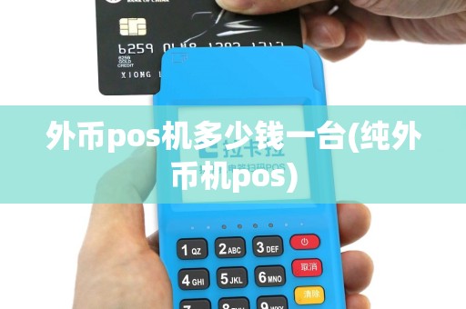 外币pos机多少钱一台(纯外币机pos)