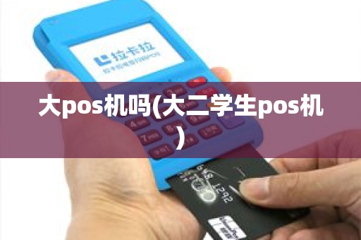 大pos机吗(大二学生pos机)