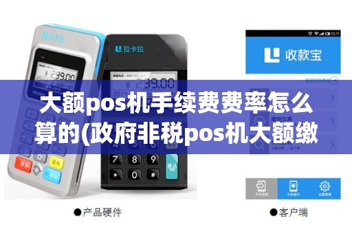 大额pos机手续费费率怎么算的(政府非税pos机大额缴费)