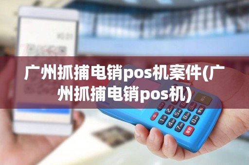 广州抓捕电销pos机案件(广州抓捕电销pos机)