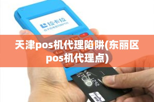 天津pos机代理陷阱(东丽区pos机代理点)
