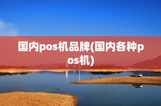 国内pos机品牌(国内各种pos机)