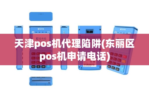 天津pos机代理陷阱(东丽区pos机申请电话)