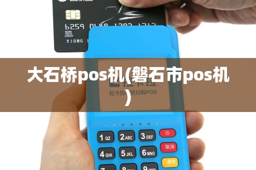 大石桥pos机(磐石市pos机)