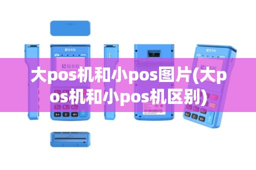 大pos机和小pos图片(大pos机和小pos机区别)