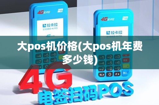 大pos机价格(大pos机年费多少钱)