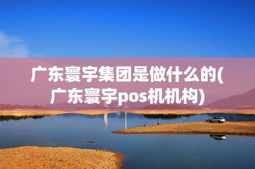 广东寰宇集团是做什么的(广东寰宇pos机机构)