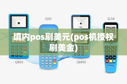 境内pos刷美元(pos机授权刷美金)