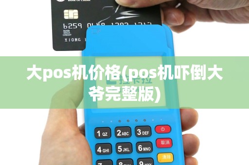 大pos机价格(pos机吓倒大爷完整版)