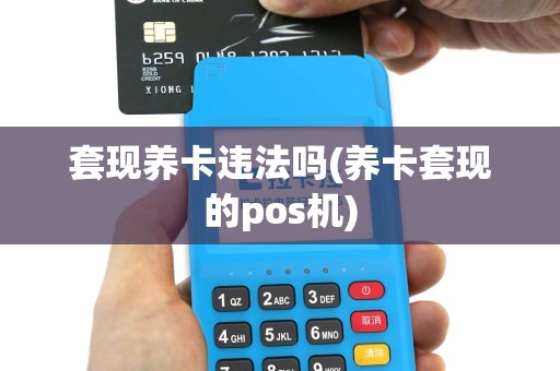 套现养卡违法吗(养卡套现的pos机)