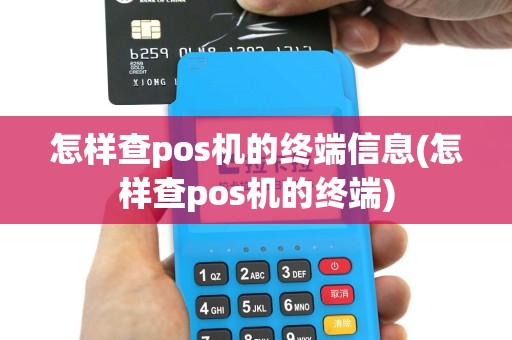 怎样查pos机的终端信息(怎样查pos机的终端)