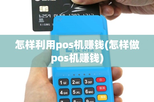 怎样利用pos机赚钱(怎样做pos机赚钱)