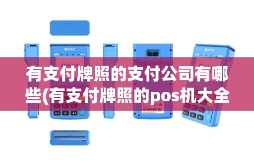 有支付牌照的支付公司有哪些(有支付牌照的pos机大全)