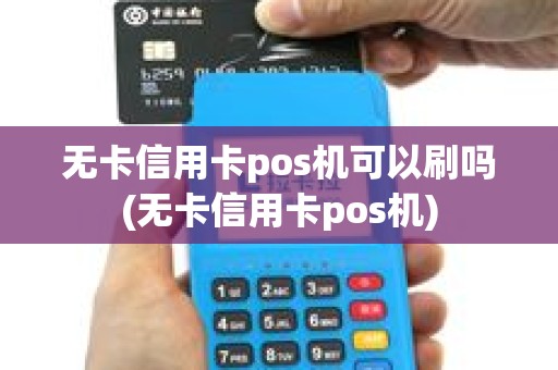 无卡信用卡pos机可以刷吗(无卡信用卡pos机)